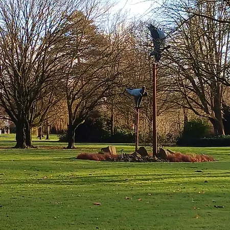 Tine In Der * 라이네