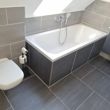 Tine In Der 라이네